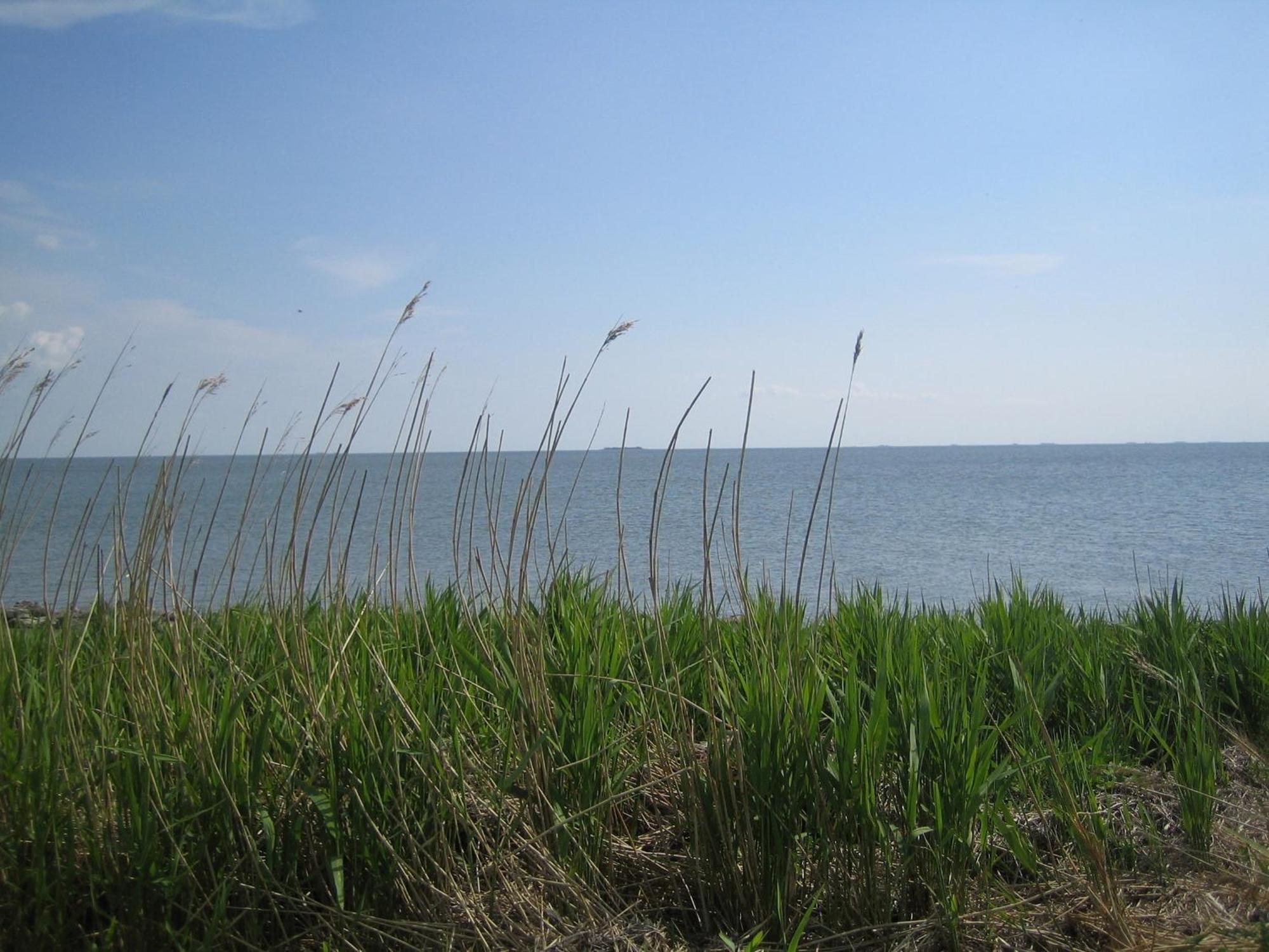 Haus Halligblick, Ferienwohnungen Am Wattenmeer, Whg Langenness Dagebüll Εξωτερικό φωτογραφία