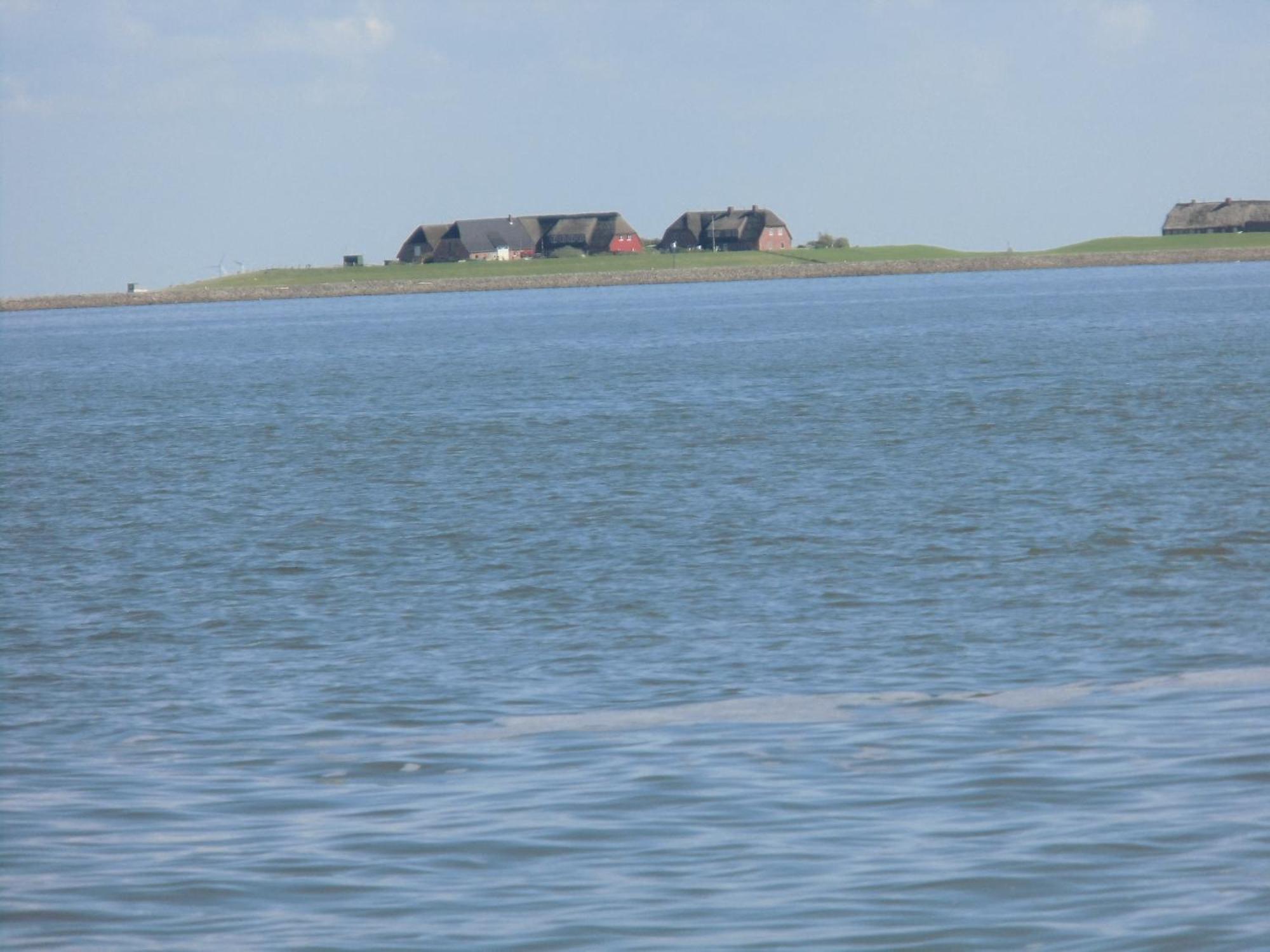 Haus Halligblick, Ferienwohnungen Am Wattenmeer, Whg Langenness Dagebüll Εξωτερικό φωτογραφία